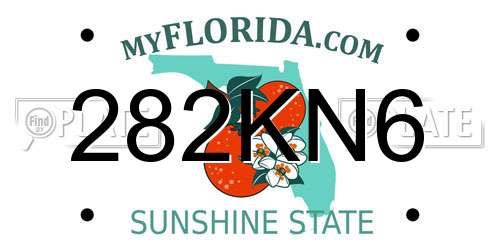 282KN6 Florida License Plate