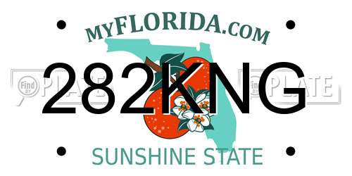 282KNG Florida License Plate