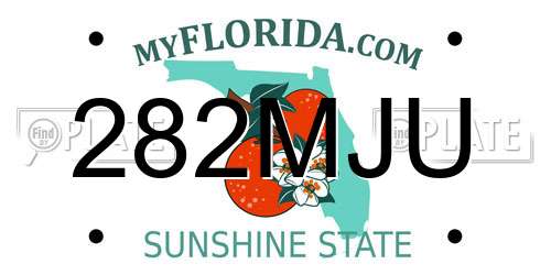 282MJU Florida License Plate