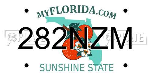 282NZM Florida License Plate