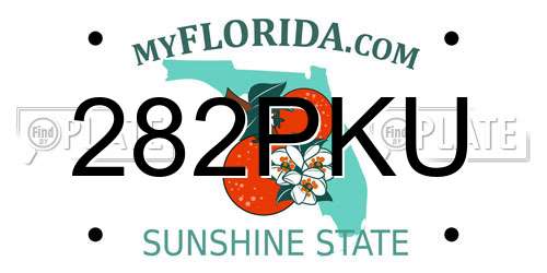 282PKU Florida License Plate