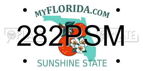 282PSM Florida License Plate