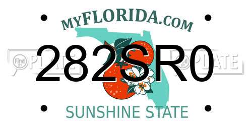 282SR0 Florida License Plate