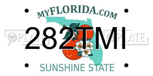 282TMI Florida License Plate