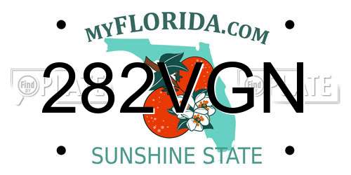 282VGN Florida License Plate