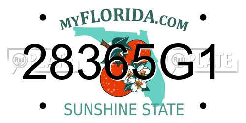 28365G1 Florida License Plate