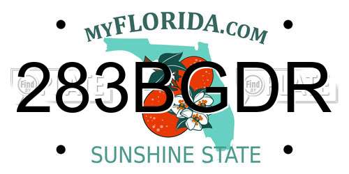 283BGDR Florida License Plate
