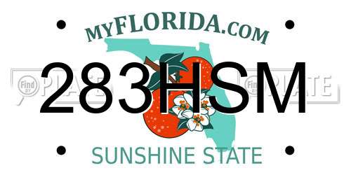 283HSM Florida License Plate