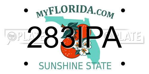 283IPA Florida License Plate