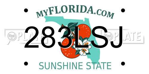 283LSJ Florida License Plate
