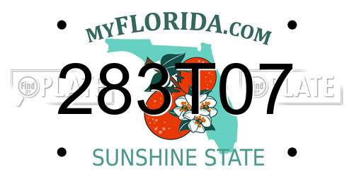 283T07 Florida License Plate