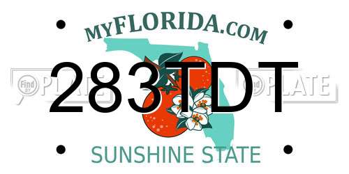 283TDT Florida License Plate