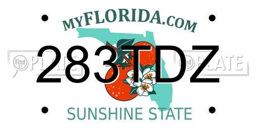 283TDZ Florida License Plate