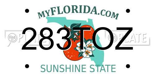 283TOZ Florida License Plate