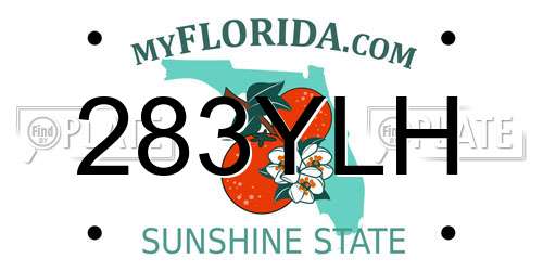 283YLH Florida License Plate