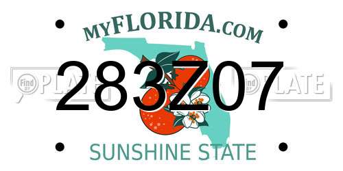 283Z07 Florida License Plate