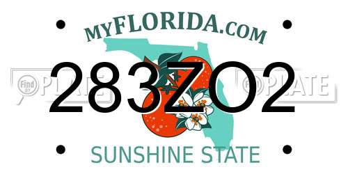 283ZO2 Florida License Plate