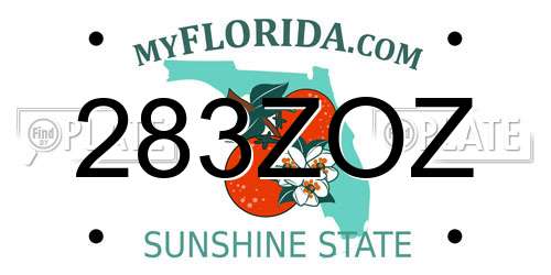 283ZOZ Florida License Plate