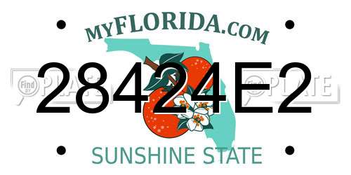28424E2 Florida License Plate