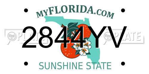 2844YV Florida License Plate
