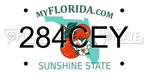 284CEY Florida License Plate