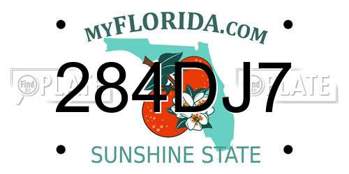 284DJ7 Florida License Plate