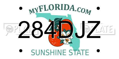 284DJZ Florida License Plate