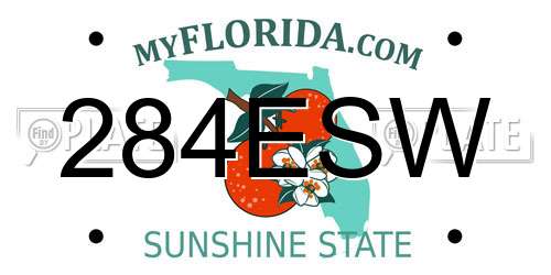 284ESW Florida License Plate