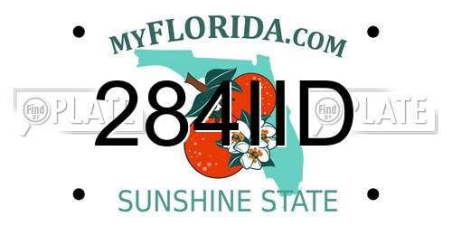 284IID Florida License Plate