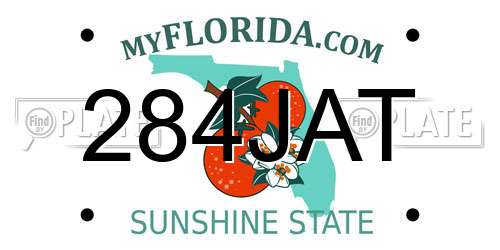 284JAT Florida License Plate