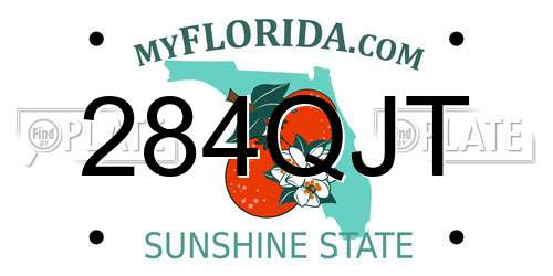 284QJT Florida License Plate