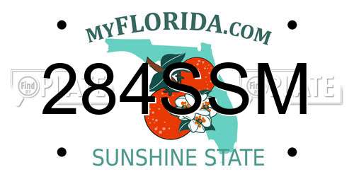 284SSM Florida License Plate