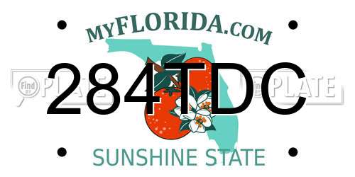 284TDC Florida License Plate