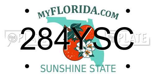 284YSC Florida License Plate