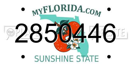 2850446 Florida License Plate