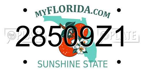 28509Z1 Florida License Plate