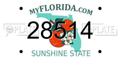 28514 Florida License Plate