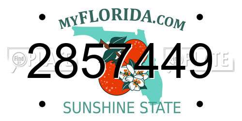 2857449 Florida License Plate