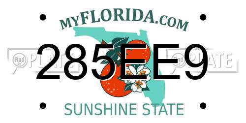 285EE9 Florida License Plate
