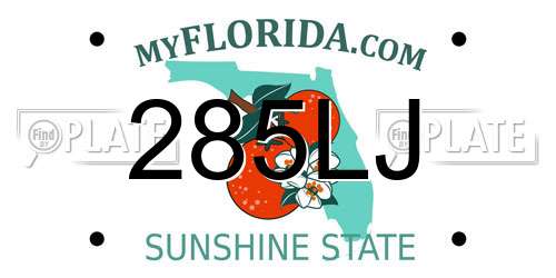 285LJ Florida License Plate