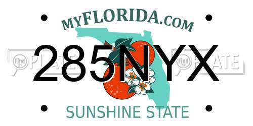 285NYX Florida License Plate