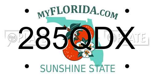 285QDX Florida License Plate