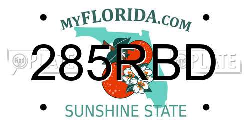 285RBD Florida License Plate