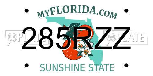 285RZZ Florida License Plate