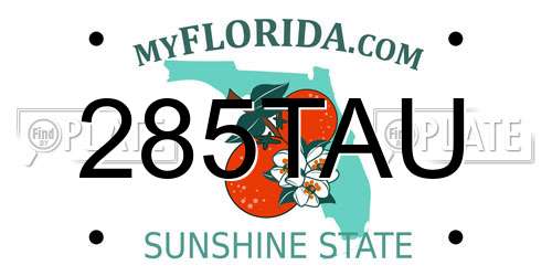 285TAU Florida License Plate