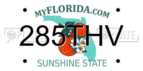 285THV Florida License Plate