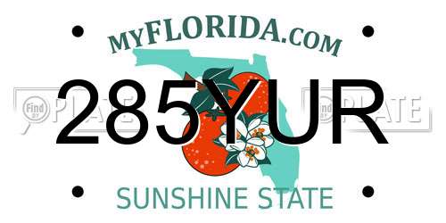 285YUR Florida License Plate