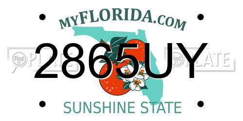 2865UY Florida License Plate