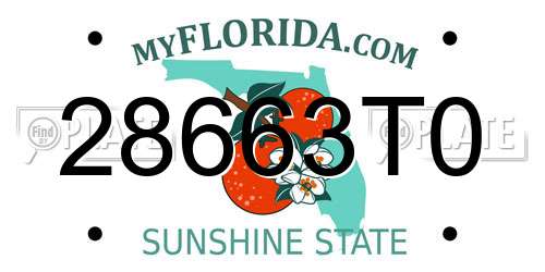 28663T0 Florida License Plate