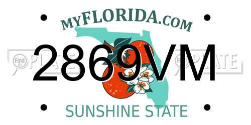 2869VM Florida License Plate